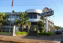 O bom desempenho do cooperativismo catarinense (Crônica)