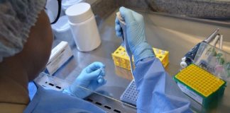 Foto: Robson Valverde / Secom