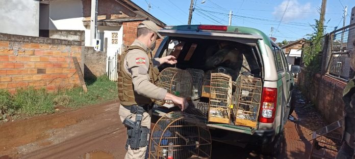 WhatsApp Image 2021-09-21 at 13.57.56