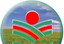 Epagri foca na capacitação de jovens do campo (Agro)