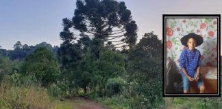 Jovem pode ter caído de uma araucária em bairro de Caçador