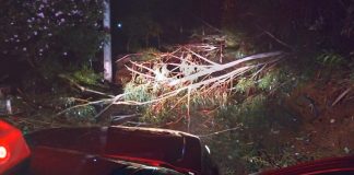 Chuva causa estragos e deixa parte de Concórdia sem energia elétrica