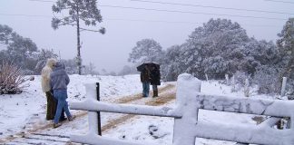 Previsão de nova frentefria em Santa Catarina