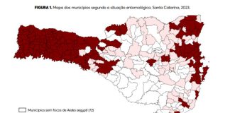 SC confirma dez mortes por dengue no ano