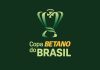 Copa do Brasil 2023
