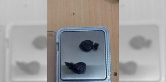 Posses de entorpecente são registradas em Concórdia e Ipumirim