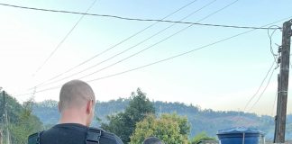 Polícia Civil cumpre seis mandados de busca e apreensão em Seara