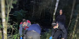 Corpo em avançado estado de decomposição é encontrado em Xaxim