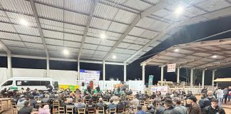 4º Remate Searaense de Gado Geral