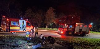 Veículo com placas de Arvoredo capota na BR-282