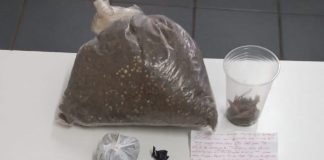 Casal é preso por tráfico de drogas em Faxinal dos Guedes