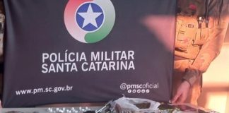Quatro pessoas são presas por tráfico de drogas em Chapecó