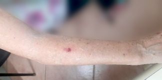 PM prende adolescente por agredir avó e namorada em Concórdia