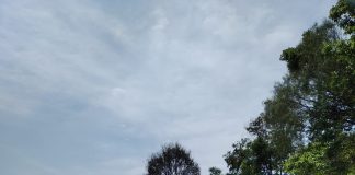 Colisão deixa óbito em Cunha Porã