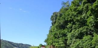 Caminhão fica sem freios na descida da SC-283 vindo de Chapecó