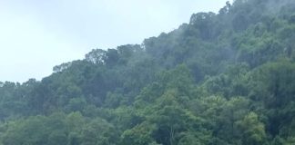 Ponte de Borboleta Baixa em Itá está interditada