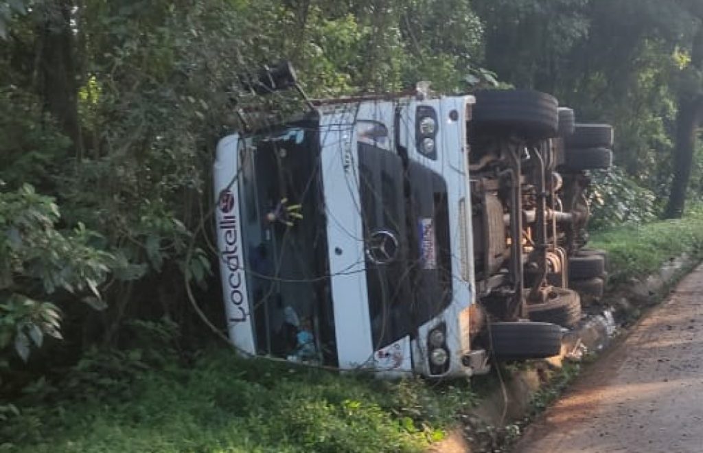 Caminhão carregado com porcos capota na BR-282 em Saudades