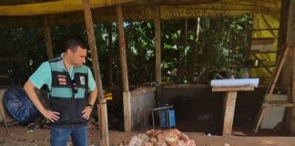 Local que processava clandestinamente subprodutos de origem animal é interditado no Oeste de SC