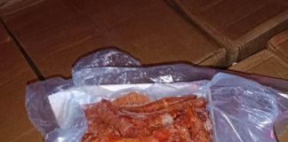 Duas toneladas de camarão e 150 kg de picanha são apreendidos em Xanxerê