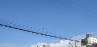 Homem é encontrado morto dentro de lixeira em Chapecó