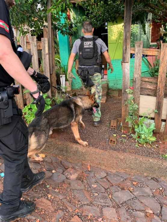 Polícia Civil realiza a 1ª Fase da “Operação Calífora” no Oeste de SC