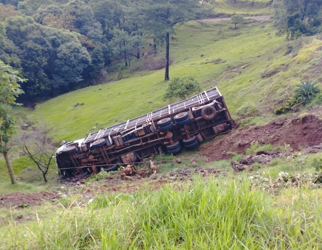 Caminhão carregado com suínos tomba em Concórdia