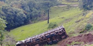 Caminhão carregado com suínos tomba em Concórdia