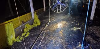 Incêndio consome parte de aviário em Palmitos