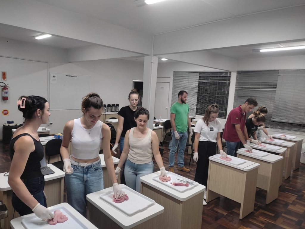 Curso de inseminação artificial em bovinos é concluído em Seara