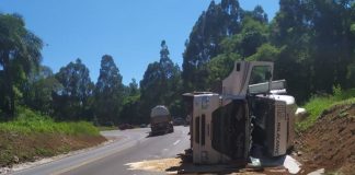 Carreta tomba e populares saqueiam carga de salmão na BR-282, no Oeste de SC