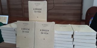 Livro de Fritz Plaumann