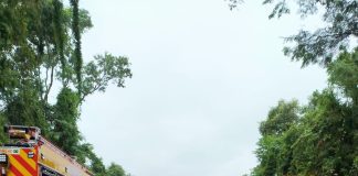 Motorista fica ferido após colisão entre carretas na BR-282, no Oeste de SC