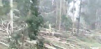 Tornado em Passos Maia