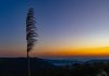 Inverno em SC deve ter chuvas e temperaturas próximas da média