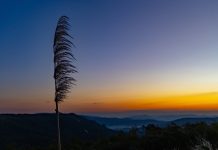 Inverno em SC deve ter chuvas e temperaturas próximas da média