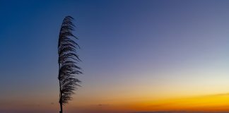 Inverno em SC deve ter chuvas e temperaturas próximas da média