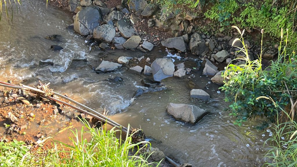 Rio Caçador apresenta água escura