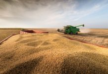 A importância do Plano Safra para a agricultura brasileira (Crônica)