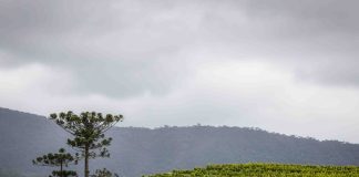 Prazo de emissão do CCIR encerra nesta quinta-feira, 18