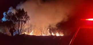 Incêndio atinge grande área de vegetação em Bom Jesus