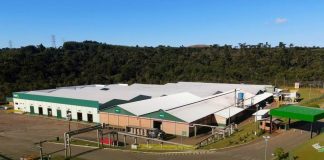 Irani Papel e Embalagem S.A. (RANI3)