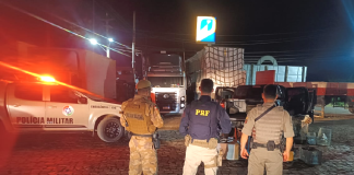 Dois foragidos são presos em operação policial na BR-153