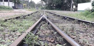 Projetos para novas ferrovias de R$ 12 bilhões em SC ficam prontos no início de 2025