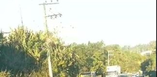 Acidente causa danos de elevada monta na SC-283 em Concórdia