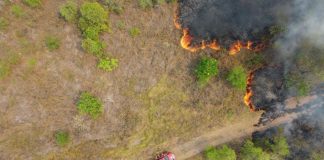 Bombeiros de SC ampliam atuação no combate aos incêndios no Mato Grosso