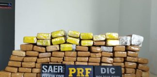 Homem é preso com 50 kg de maconha em Chapecó