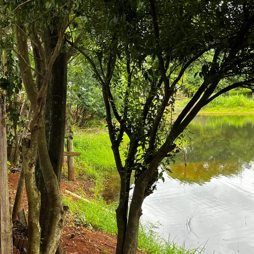 Idosa é encontrada morta dentro de açude em São Miguel do Oeste
