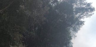 Caminhão usina de asfalto explode em São Domingos