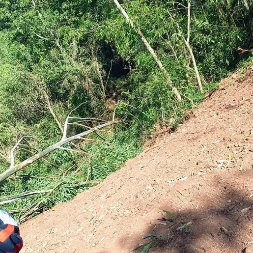 Homem morre ao ser atingido por árvore em São Miguel do Oeste