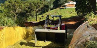 Programa de silagem já atende mais de 300 agricultores em Xavantina